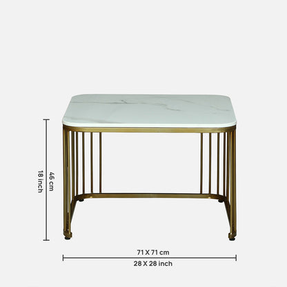 Square Gold Finished Coffee Table /Center Table (Set of 2)