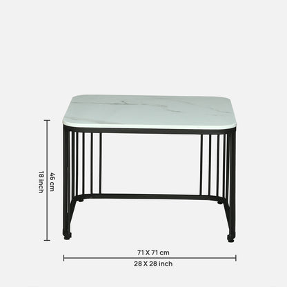 Modern Square  Black Finished Nesting Coffee Table /Center Table  (Set of 2)