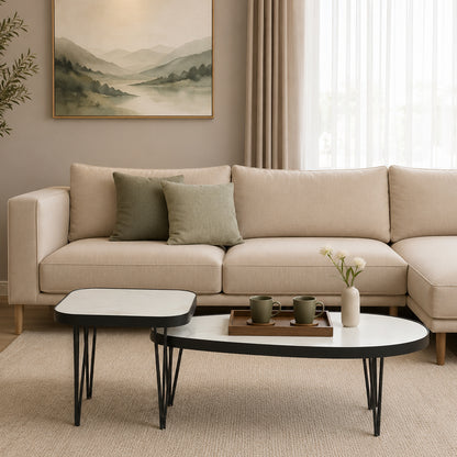 Oval Shape Black Finished Oval Shaped Coffee set  For Living Room